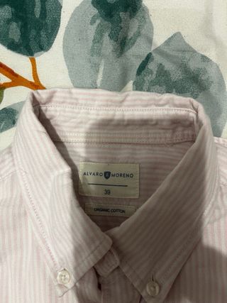 Lote 7 Camisas Rayadas