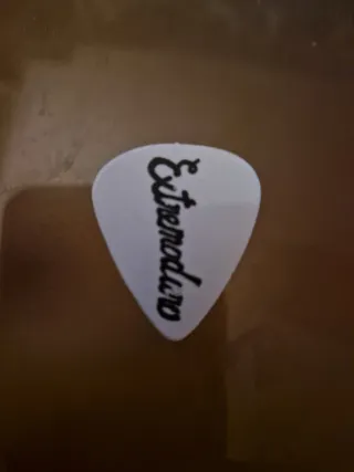 Púa Extremoduro Robando Perchas del Hotel