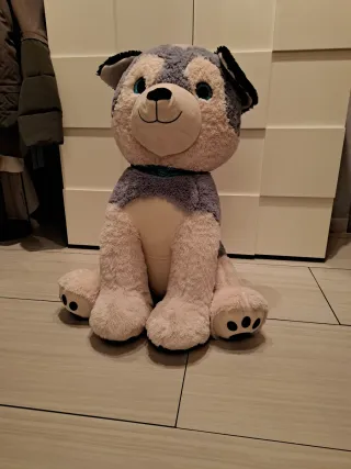 Peluche cane husky gigante