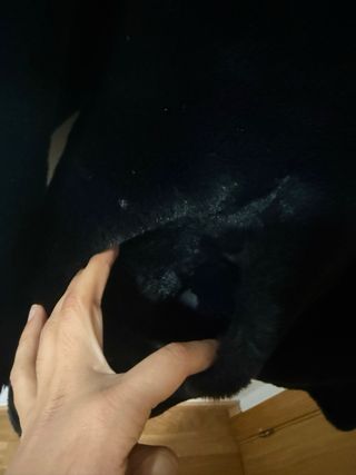 Abrigo de pelo negro con capucha