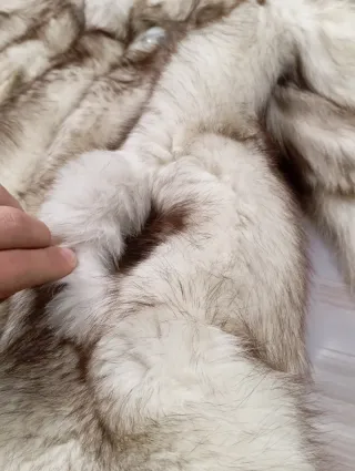 Pelliccia di Volpe Artica in Ottime condizioni