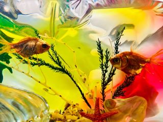 Pieza Resina Francesa Años 70 25cm