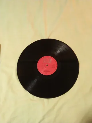 Vinilo Bruce Springsteen Lucky Town