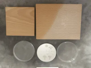 25 ECU EURO 1997 PLUS ULTRA