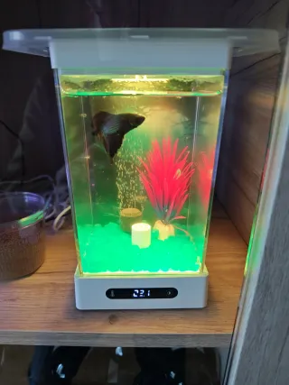 2 Mini acuarios LED