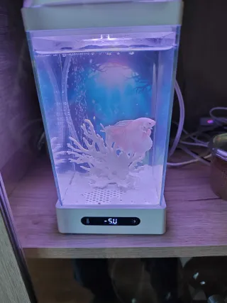 2 Mini acuarios LED