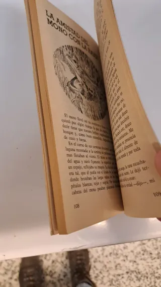 El mono y la rana leyendas de Bali