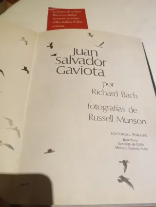 Juan Salvador Gaviota