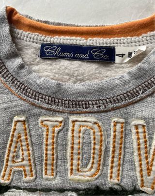 Felpa Ciunga 4 anni orso Great Divide