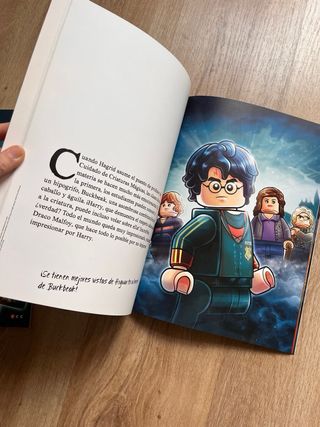 Libro de Posters Lego Harry Potter 16 Posters