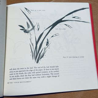 Japanese Ink Painting Lessons in Suiboku Techni...