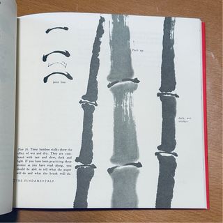 Japanese Ink Painting Lessons in Suiboku Techni...