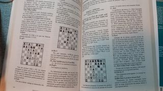 Lote dos libros ajedrez Drazen Marovic