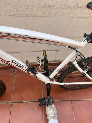 Bicicleta B-Pro ZS1