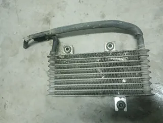 Radiador Aceite Nissan Primera P12