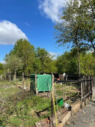 Alquiler de parcelas para huerto