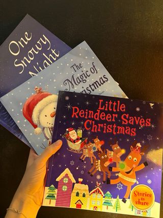 Little Reindeer Saves Christmas