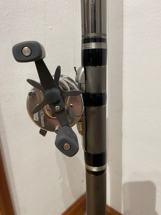 Caña Grauvell Scala 1000 10m y carrete Abu Garcia