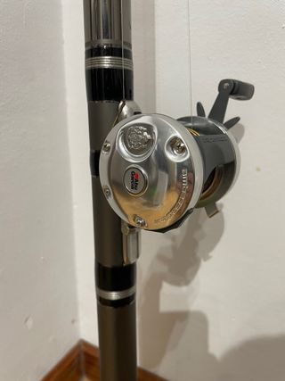 Caña Grauvell Scala 1000 10m y carrete Abu Garcia