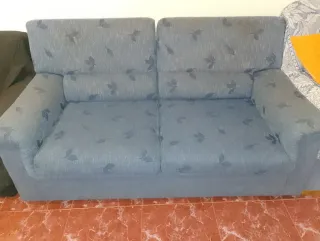 Sofá de 2 plazas azul con estampado
