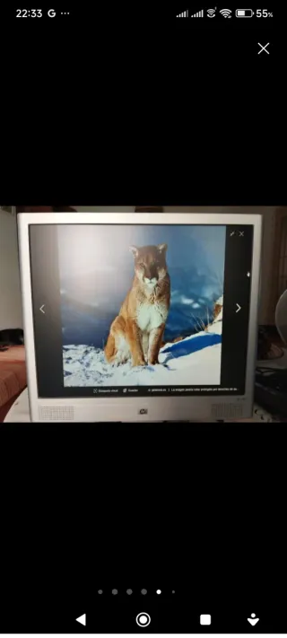 Monitor HP 19 con altavoces incorporados