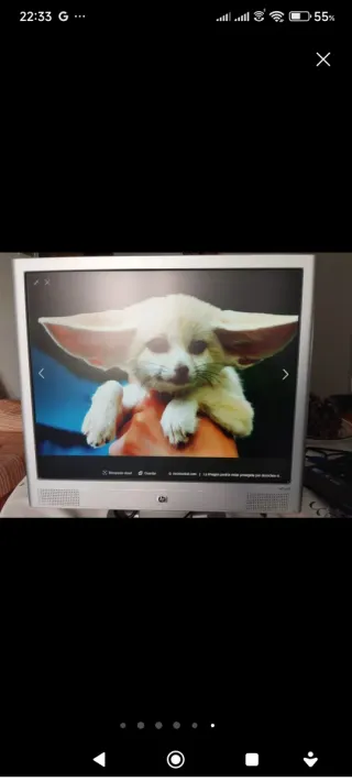 Monitor HP 19 con altavoces incorporados