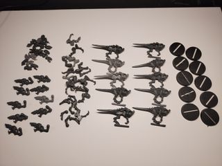 10 Termagantes con Fleshborer