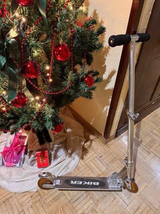 Patinete Biker Plata