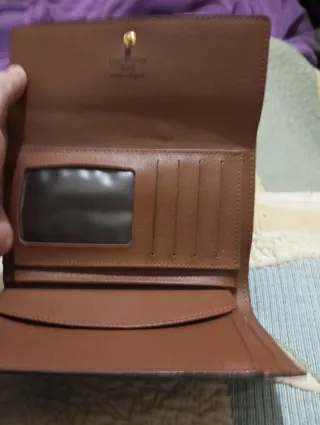 Portafoglio Louis Vuitton Marrone