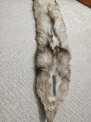 Estola de zorro blanco y gris