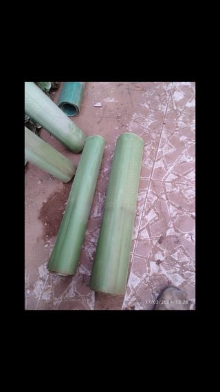 Protectores de viña verdes