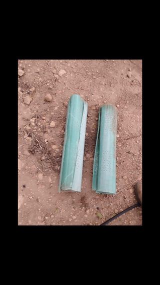 Protectores de viña verdes