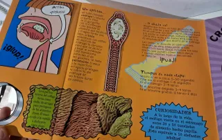 El cuerpo humano en pop up