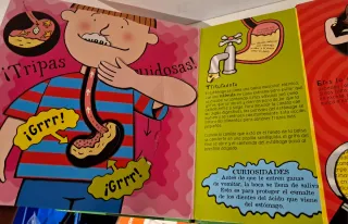 El cuerpo humano en pop up