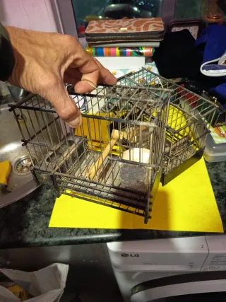 2 Jaulas Jilgueros/Mixtos