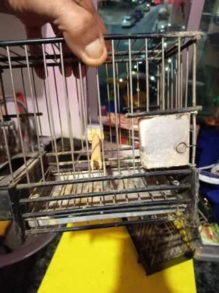 2 Jaulas Jilgueros/Mixtos