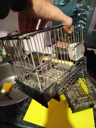 2 Jaulas Jilgueros/Mixtos