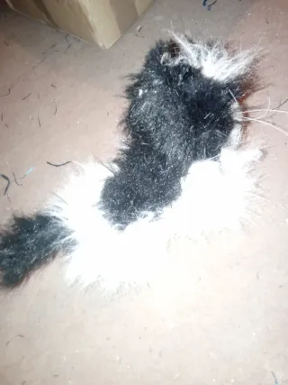 Gato de peluche con sonidos