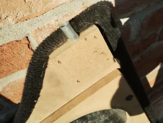 Pannello audio Panda / Y10