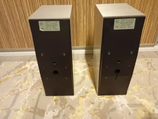 Altavoces Bang Olufsen Beovox CX100