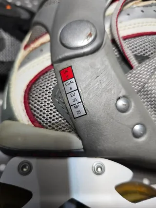 Patines en línea Fila con protecciones