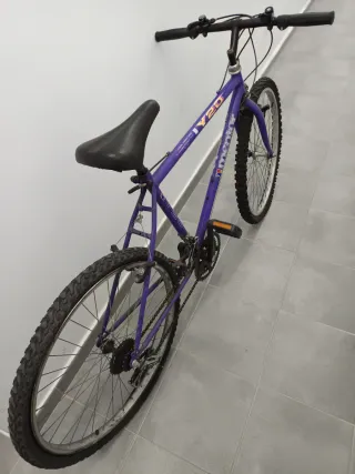 Bicicleta de montaña Y20 Morada
