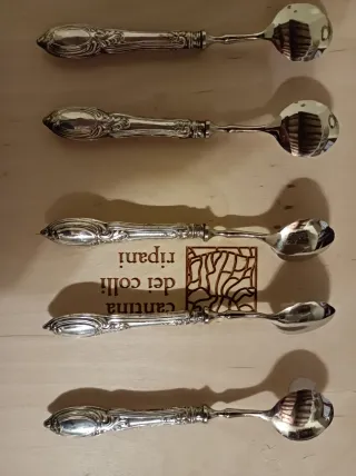 Palette o cucchiai in argento x gelato