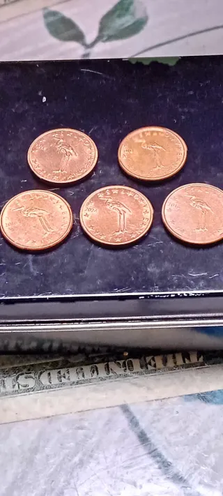 Lote 5 Monete da 1 Centesimo Euro