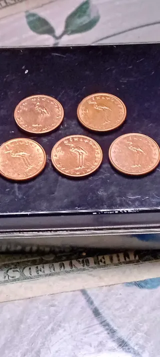 Lote 5 Monete da 1 Centesimo Euro