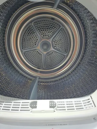 Secadora Bosch 7kg    612209815