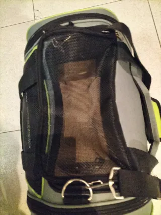 Transportín gato/perro pequeño gris y verde