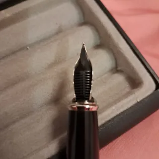 Pluma T. S. Dupont Plata Vintage