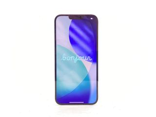 apple iphone 13 pro max 256gb