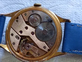 Reloj Festina Dorado y Azul